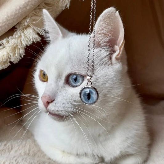 ANIMAL EYE